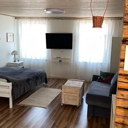 Appartamento Uus-sauga 10 *